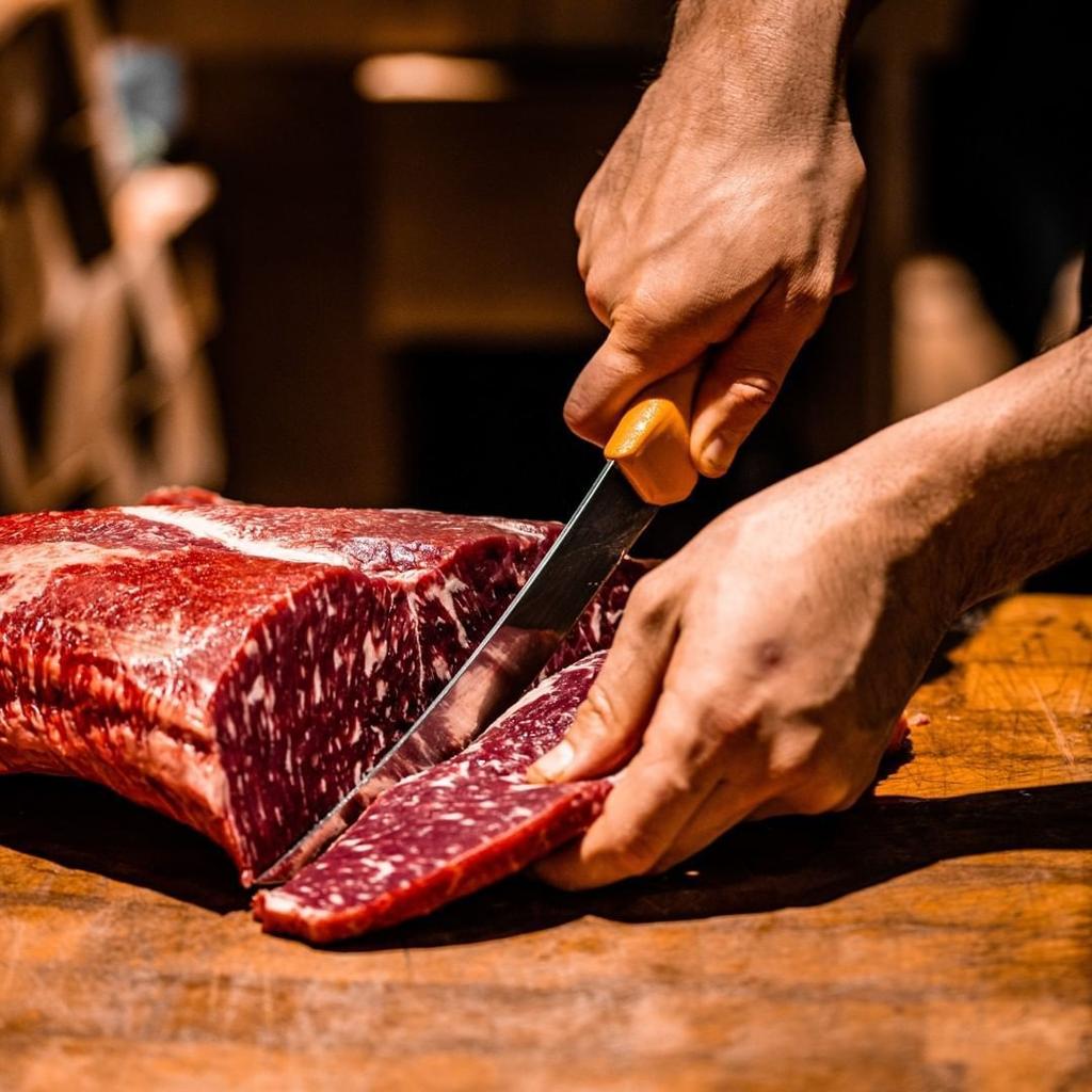 Carnes Oliva distribuidores de carne congelada (3)